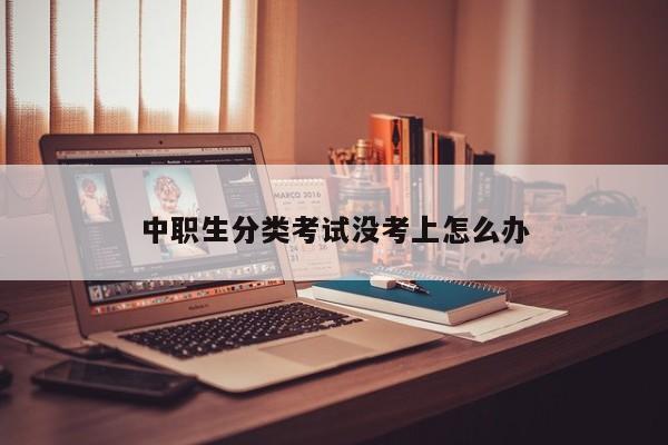 中职生分类考试没考上怎么办