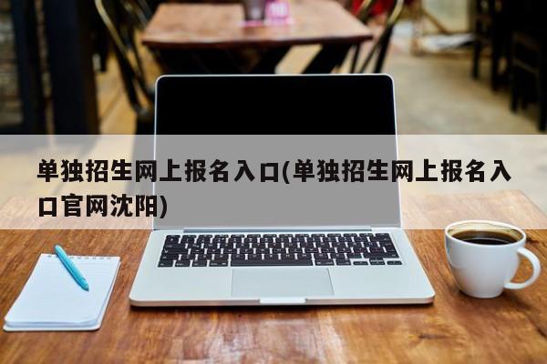 单独招生网上报名入口(单独招生网上报名入口官网沈阳)