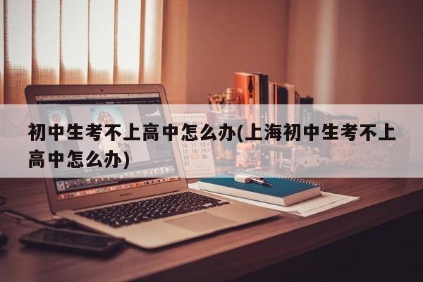 初中生考不上高中怎么办(上海初中生考不上高中怎么办)