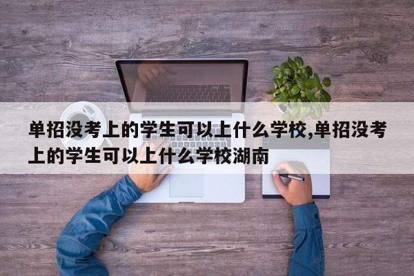 单招没考上的学生可以上什么学校,单招没考上的学生可以上什么学校湖南