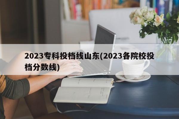 2023专科投档线山东(2023各院校投档分数线)