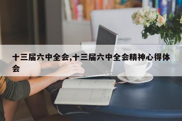 十三届六中全会,十三届六中全会精神心得体会