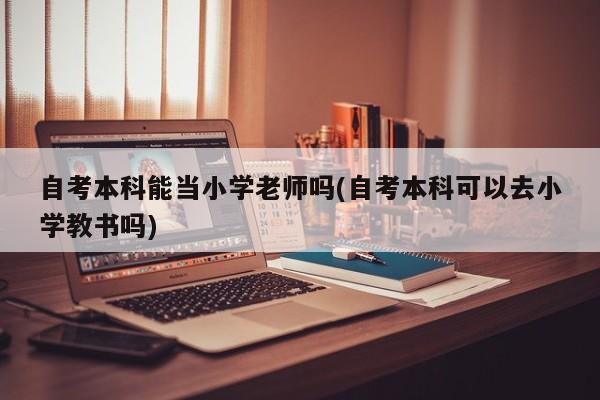 自考本科能当小学老师吗(自考本科可以去小学教书吗)