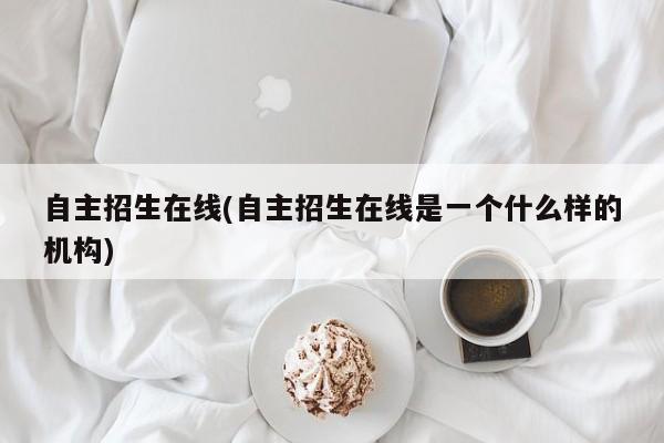 自主招生在线(自主招生在线是一个什么样的机构)