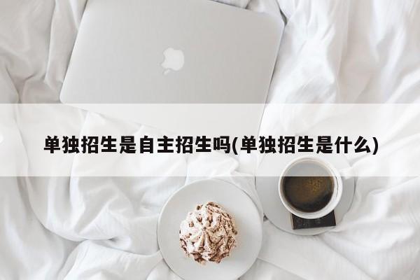 单独招生是自主招生吗(单独招生是什么)