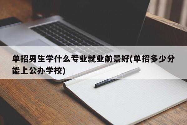 单招男生学什么专业就业前景好(单招多少分能上公办学校)