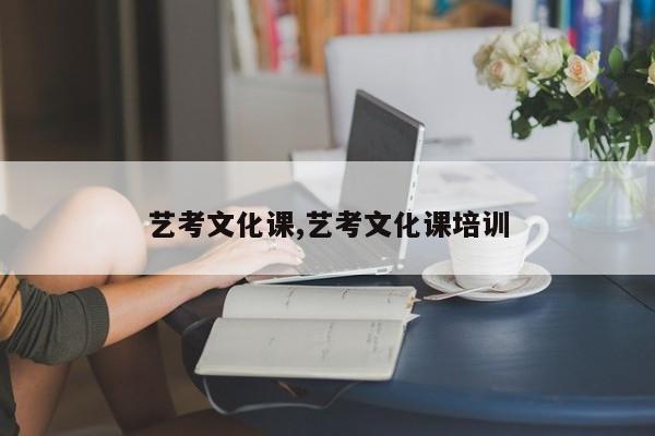 艺考文化课,艺考文化课培训