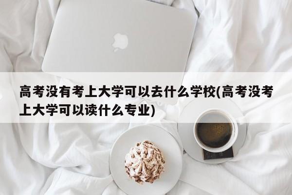 高考没有考上大学可以去什么学校(高考没考上大学可以读什么专业)