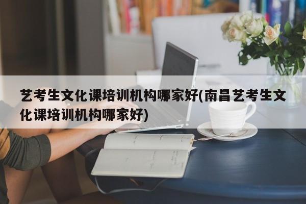 艺考生文化课培训机构哪家好(南昌艺考生文化课培训机构哪家好)