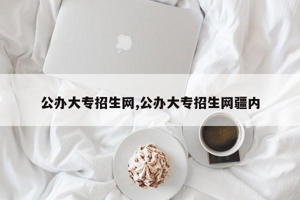 公办大专招生网,公办大专招生网疆内