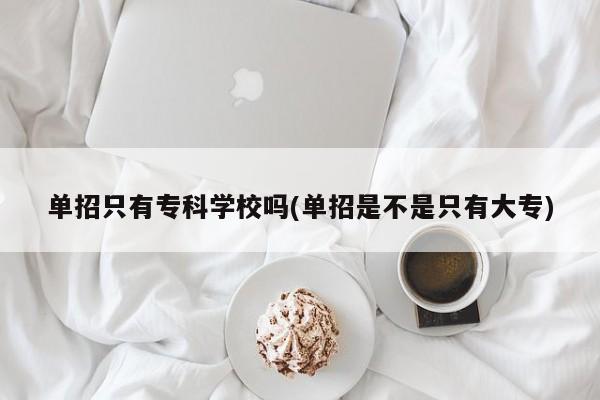 单招只有专科学校吗(单招是不是只有大专)